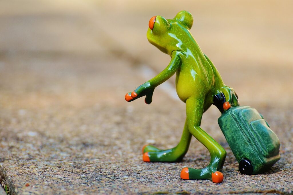 frog, farewell, travel, suitcase, travel bag, vacations, on the way, animal, fun, figure, nature, cute